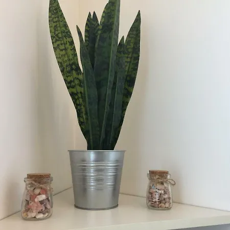 Apartment Le Domus Modern Cagliari