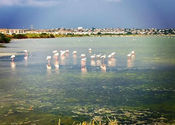 Le Domus Modern Cagliari