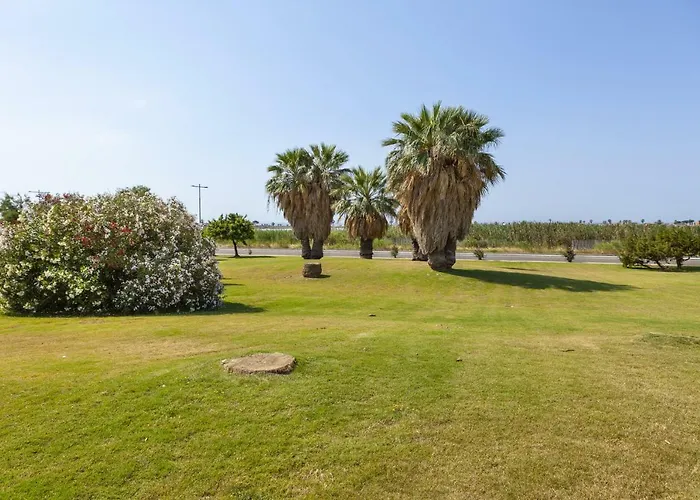 Le Domus Modern Cagliari 公寓 *