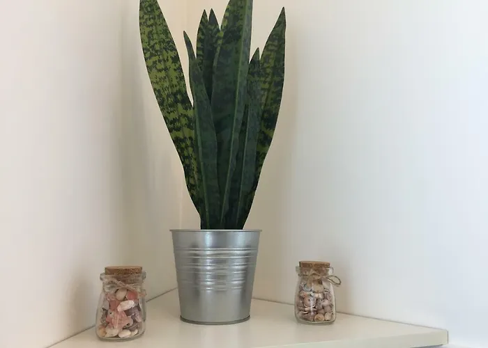 Apartament Le Domus Modern Cagliari